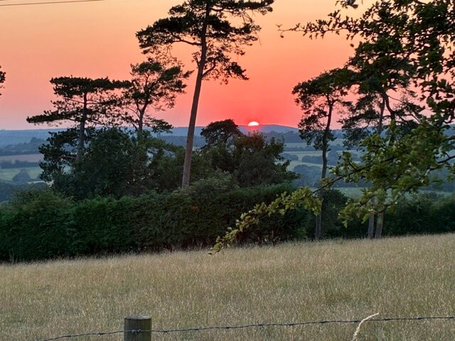 Bow Hill Farm