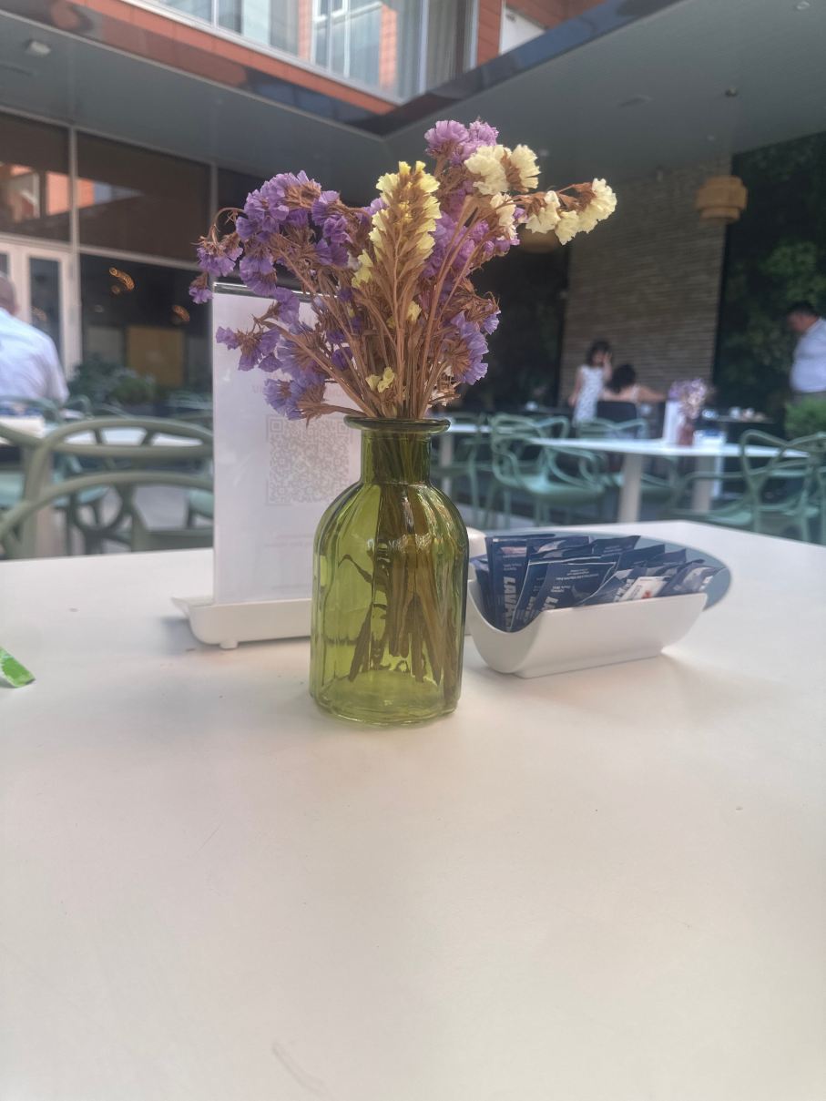阿尔巴尼亚地拉那希尔顿花园酒店-旅行者
