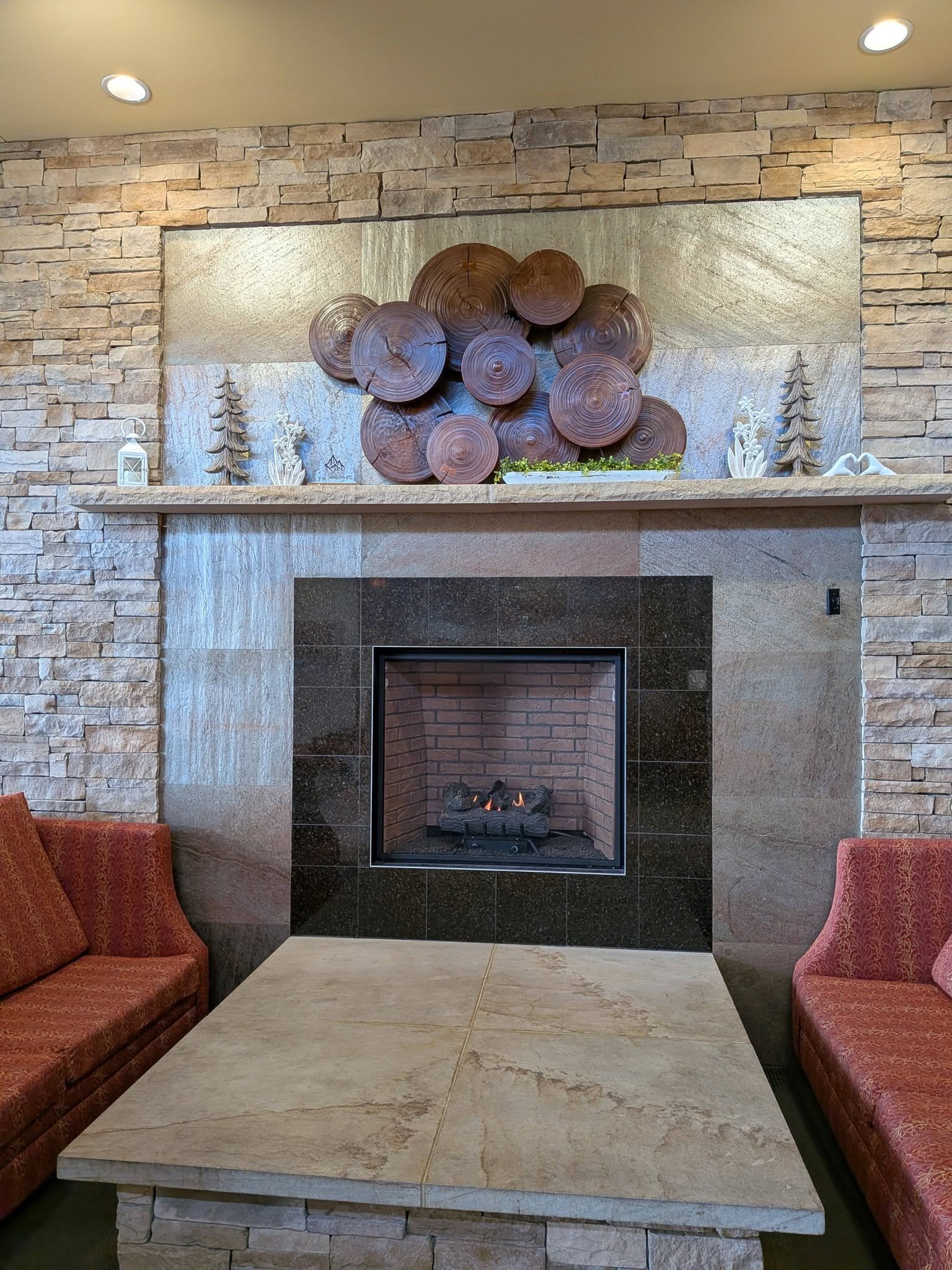 Canaan Valley Resort-旅行者