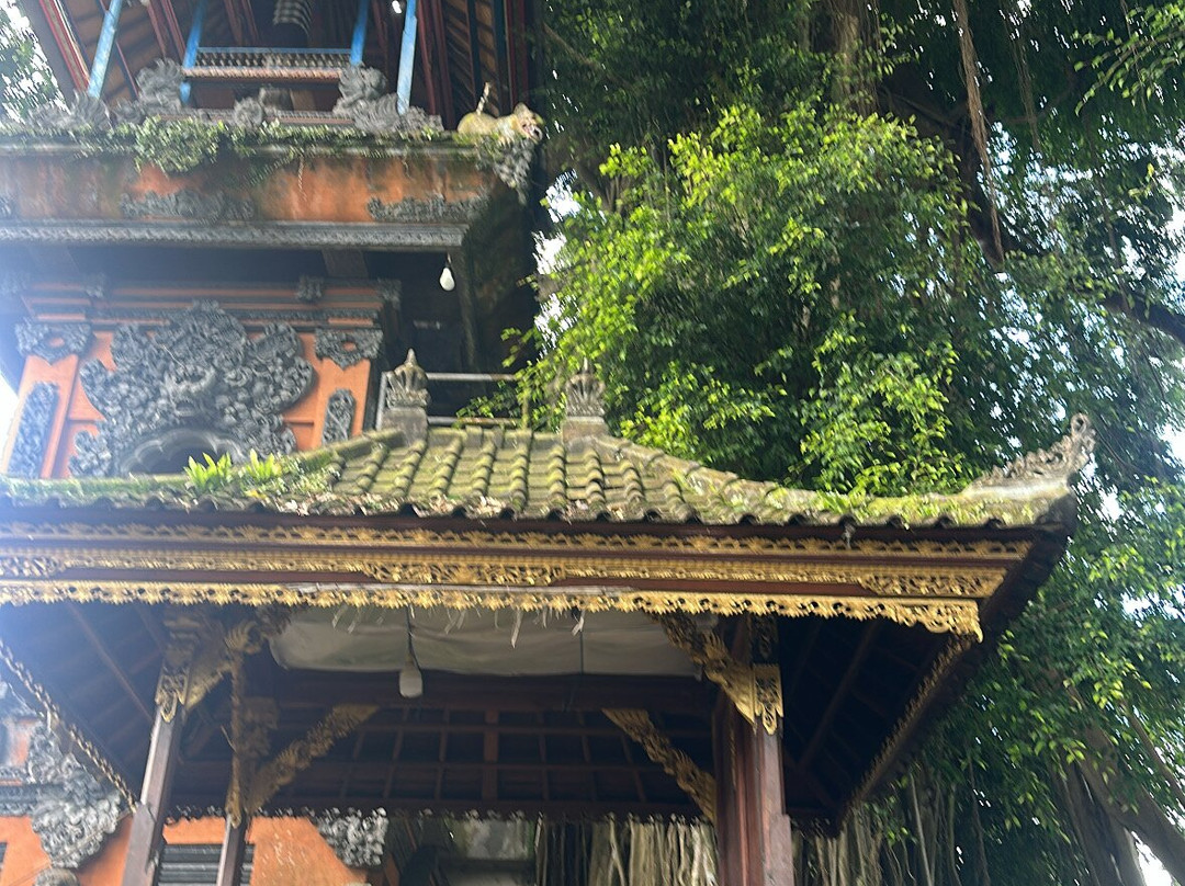 Ubud Cycling Bike-乌布必去景点