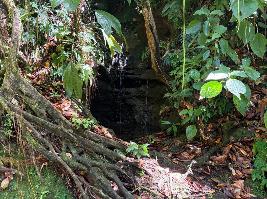 Canyon Moustique-Petit-Bourg必去景点