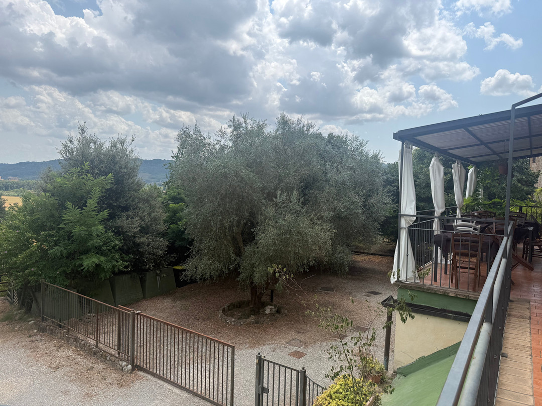 Osteria Del Fico