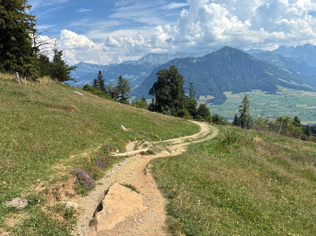 Hammetschwand Lift-Obbuergen必去景点