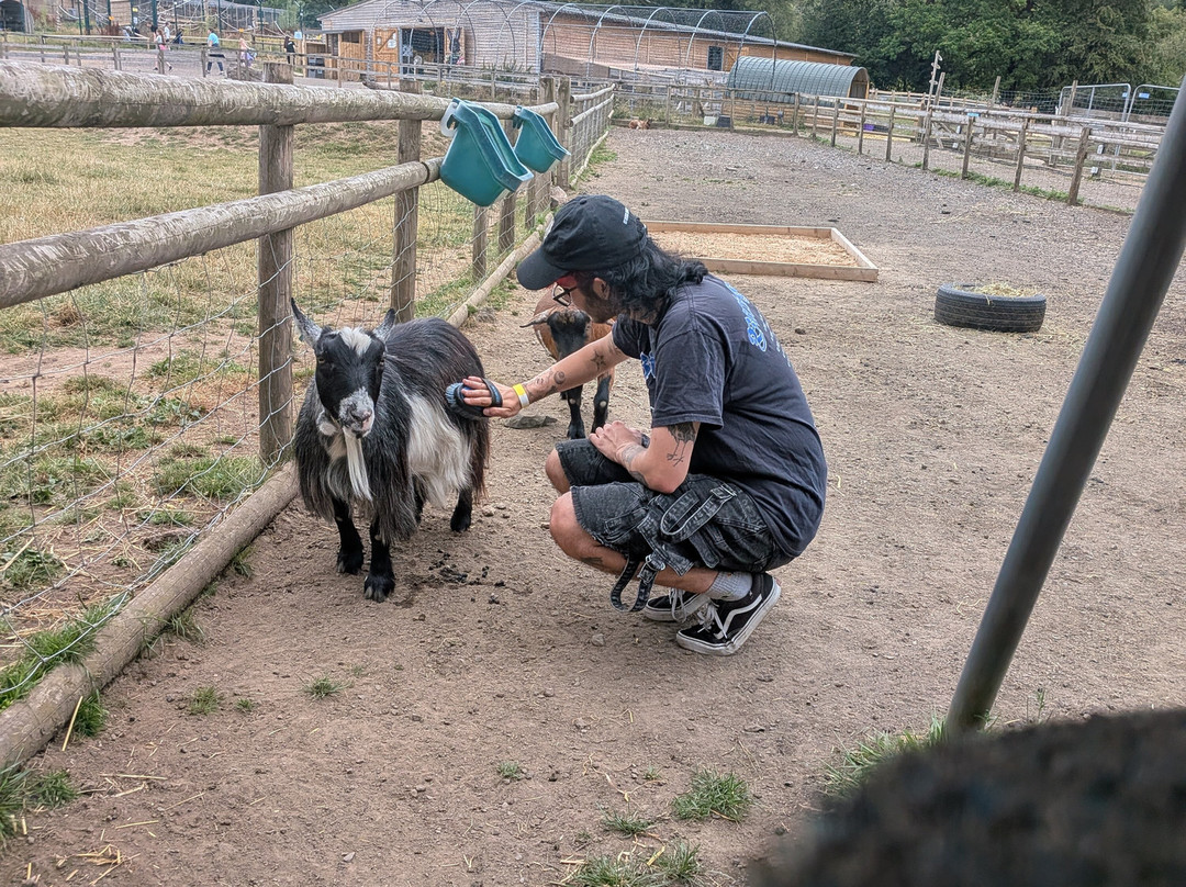 The Meadows Wildlife Park-卡菲利必去景点