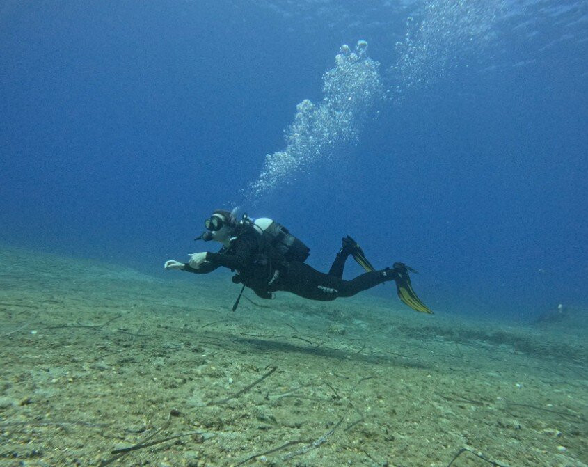 Eco Diving Center-Ammoudara必去景点
