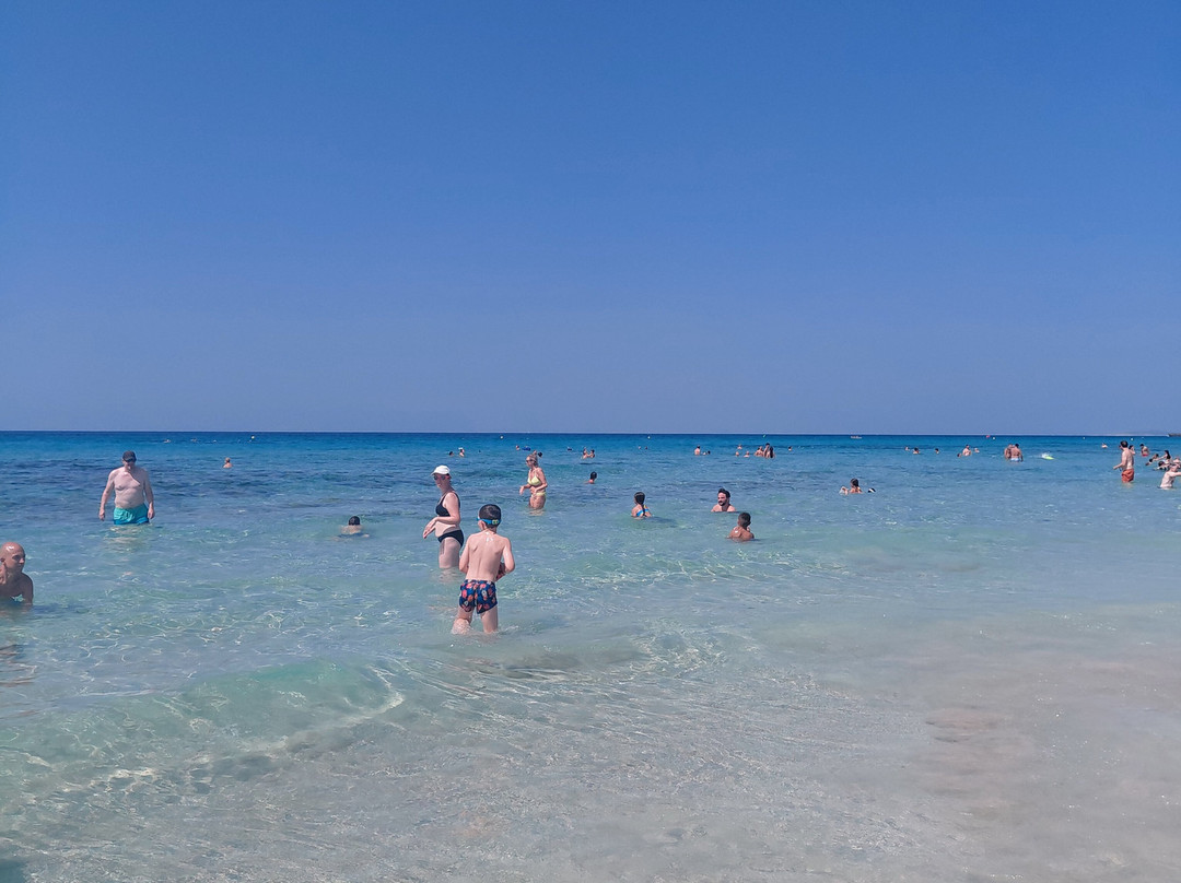 Playa de Son Bou-阿拉约尔必去景点