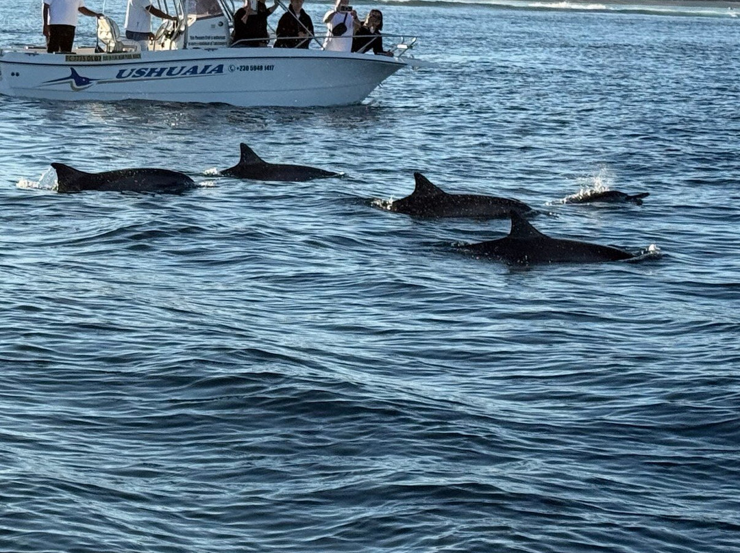 Dolphin Warrior-La Gaulette必去景点