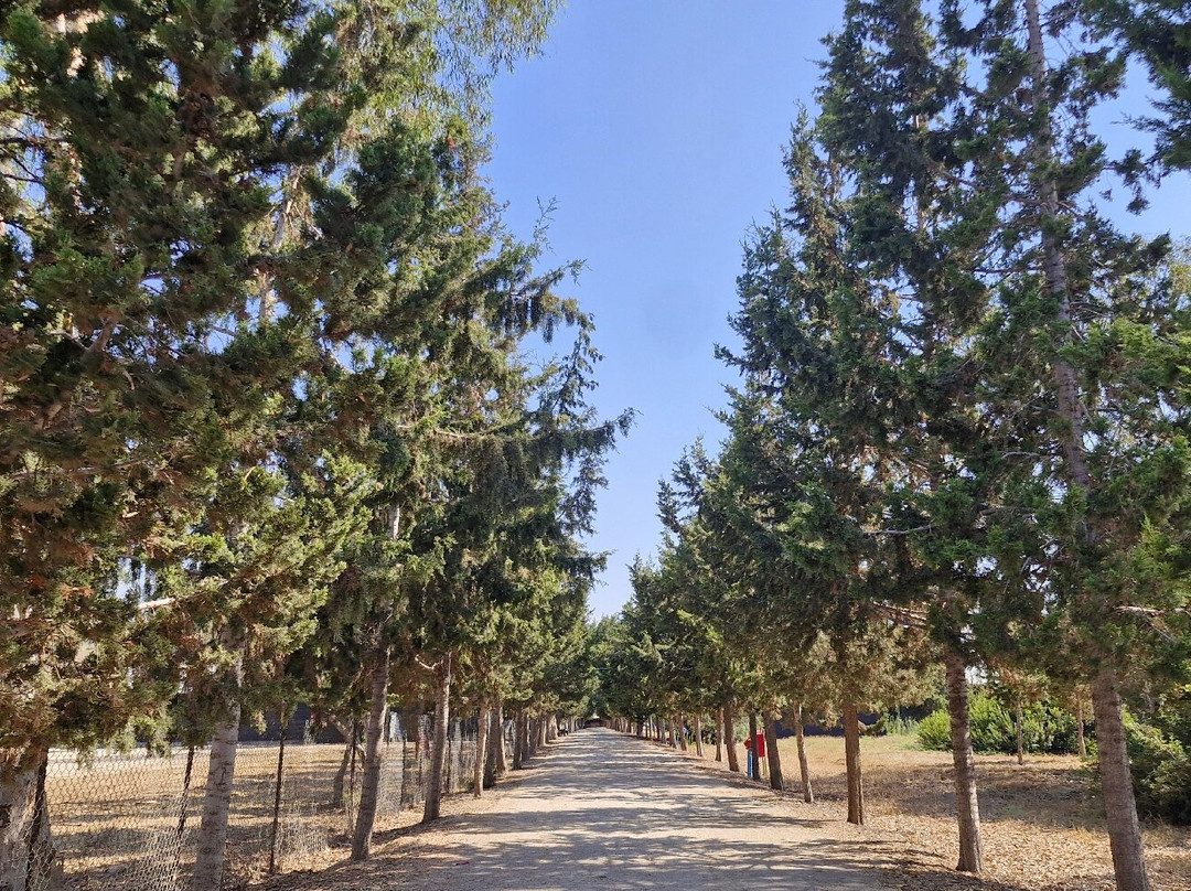 Atlit Detainee Camp-Atlit必去景点
