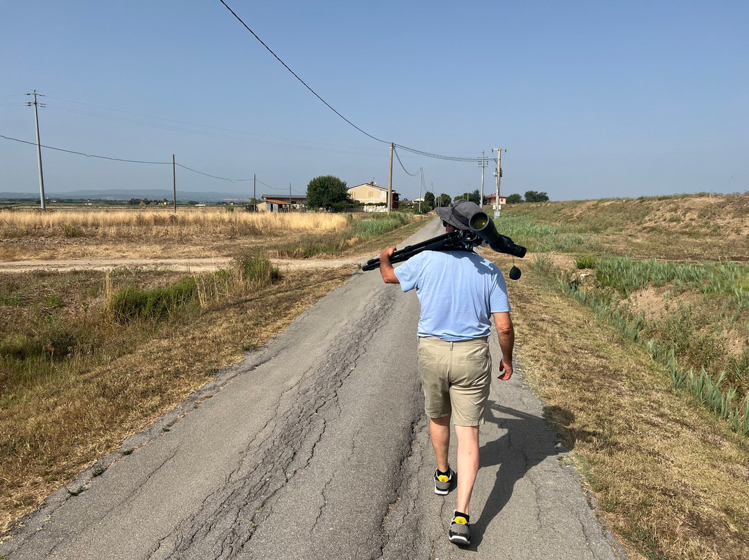 Birding In Italy-Capolona必去景点