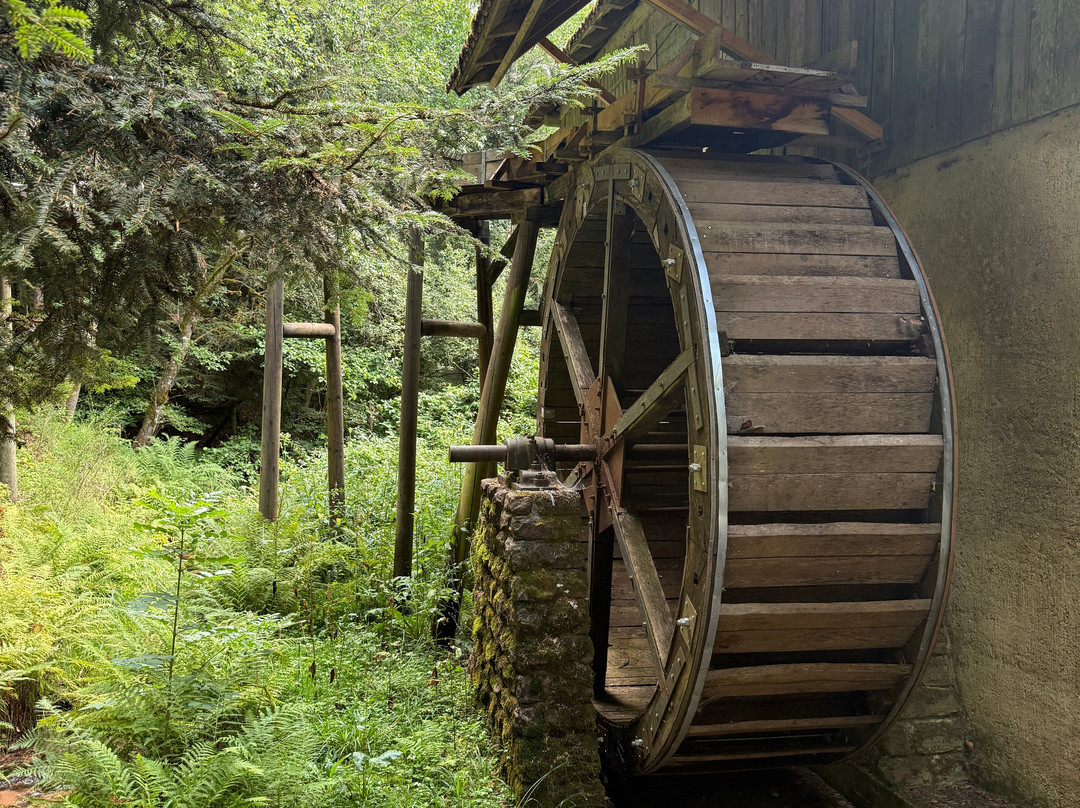 Train Forestier d'Abreschviller-Abreschviller必去景点