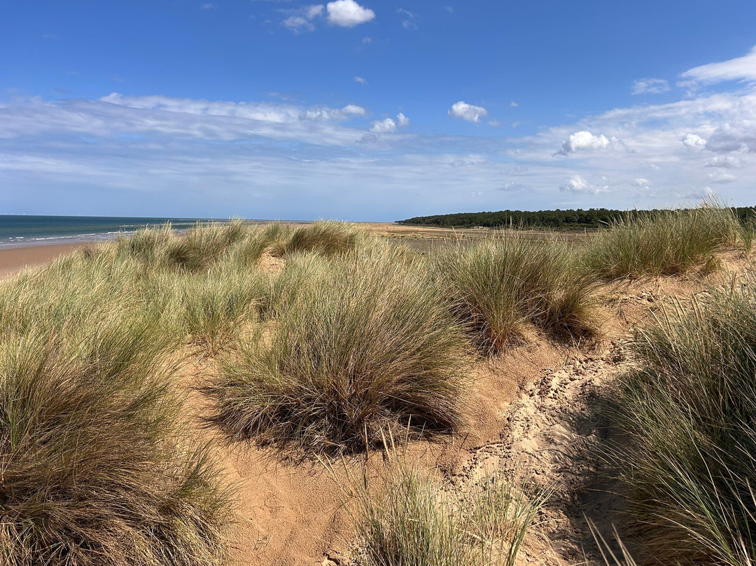Holkham Bay-Wells-next-the-Sea必去景点