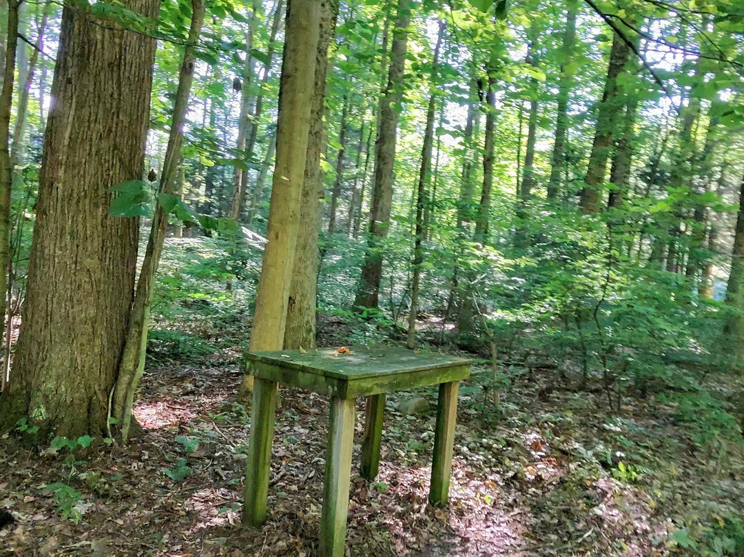 Asbury  Woods-伊利必去景点
