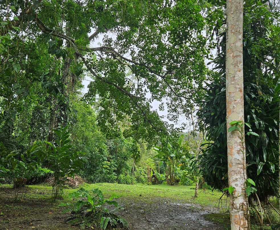 Cacao Trails Culture Tour-Hone Creek必去景点