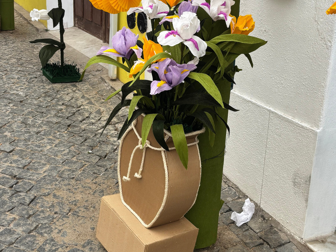 Castelo de Campo Maior-Campo Maior必去景点