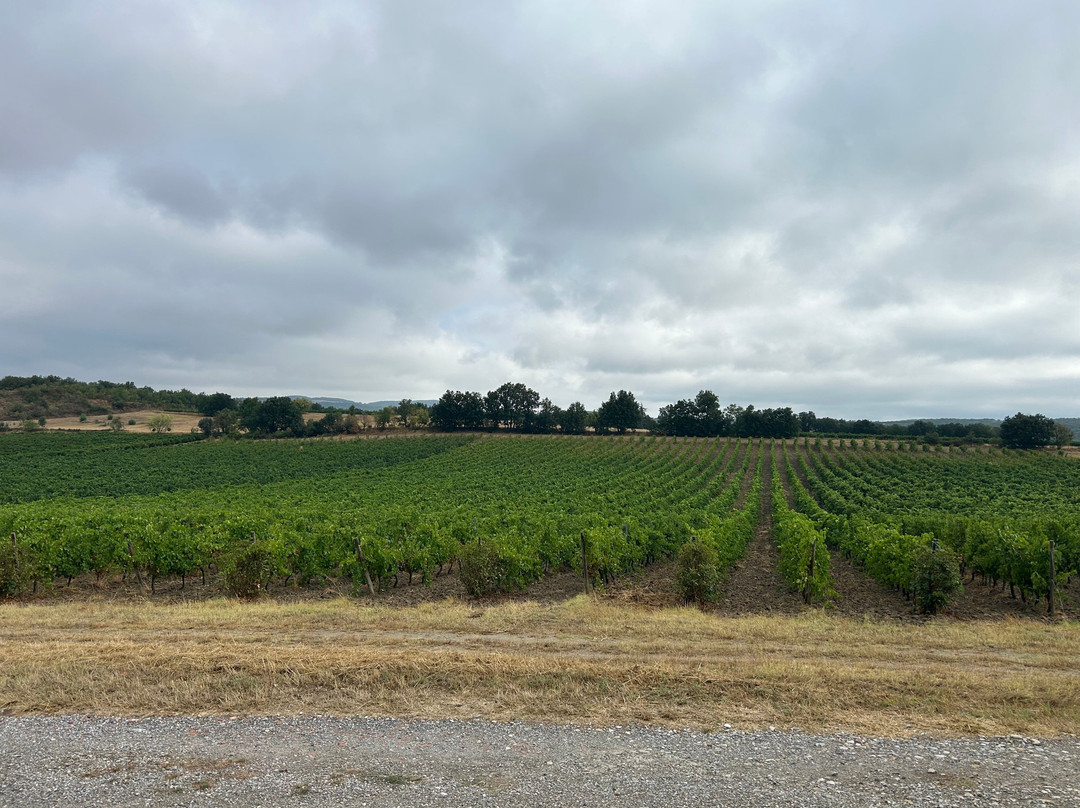 Domaine La Louviere-Malvies必去景点