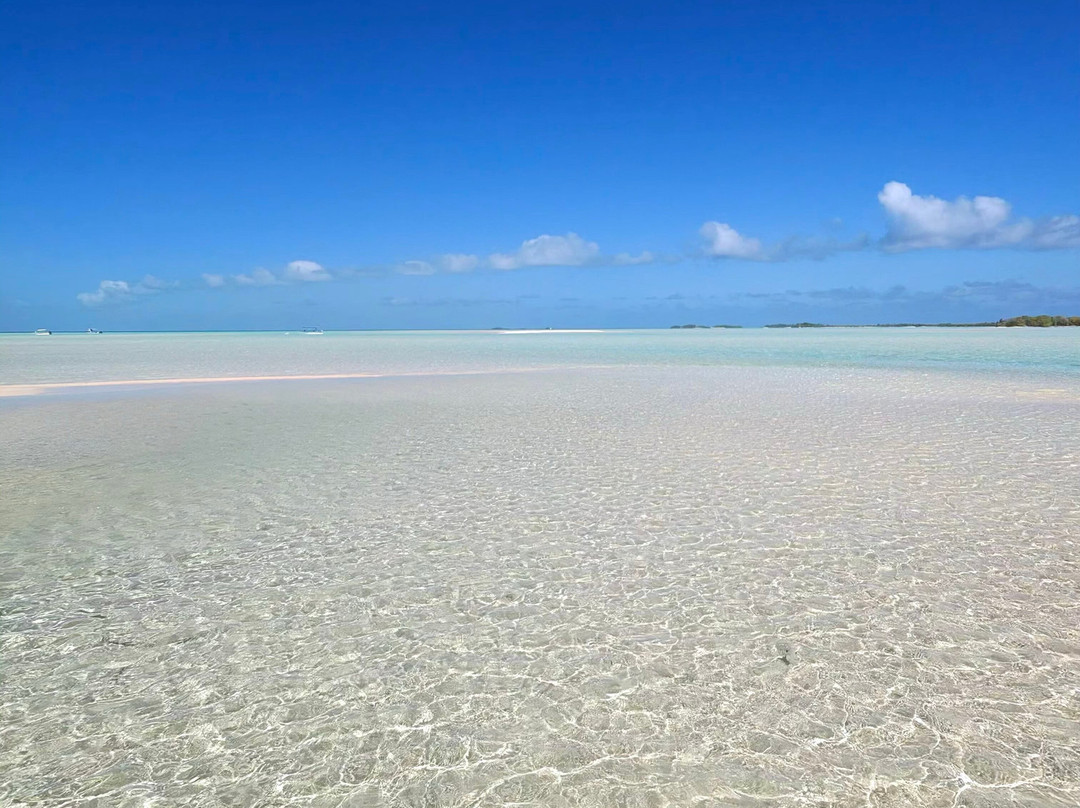 Rairoa Fishing And Tours-伦吉拉必去景点