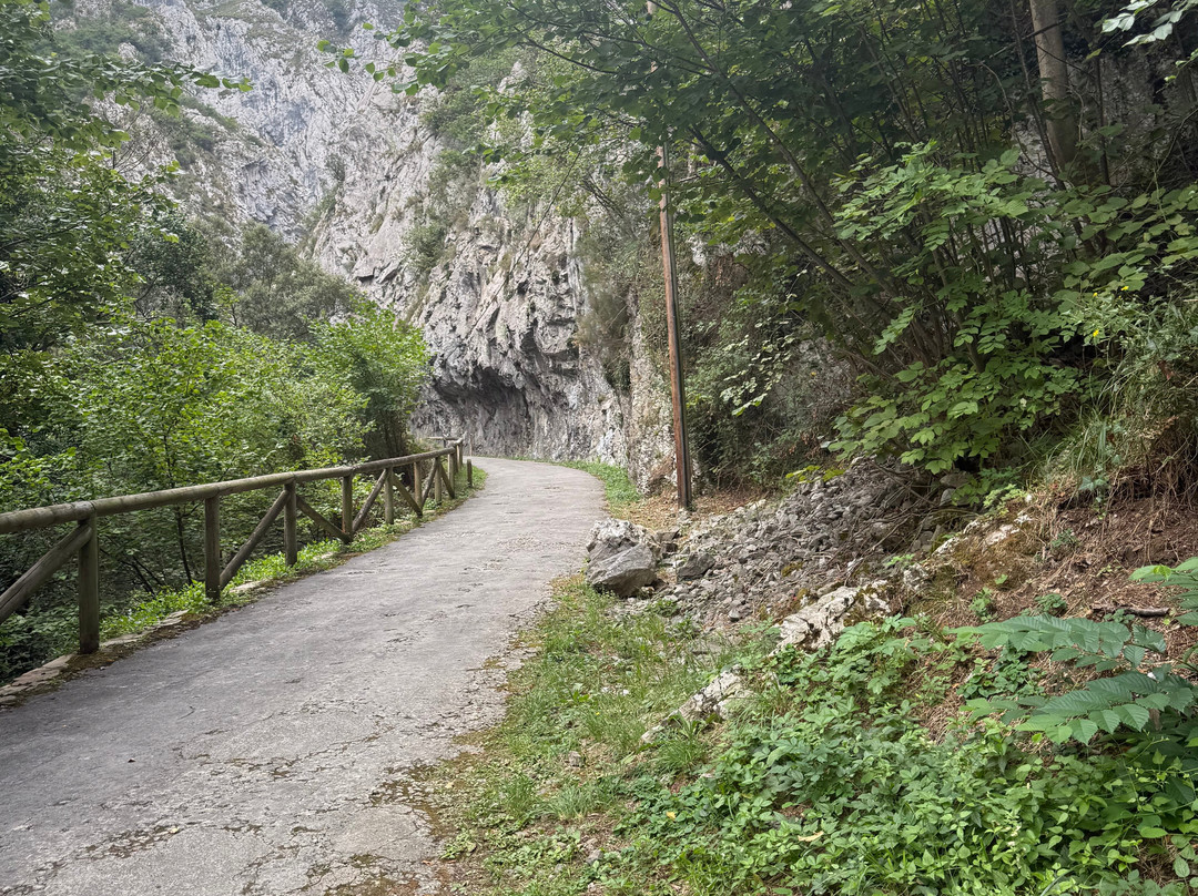 Senda Del Oso Experience - Teverastur-Teverga Municipality必去景点