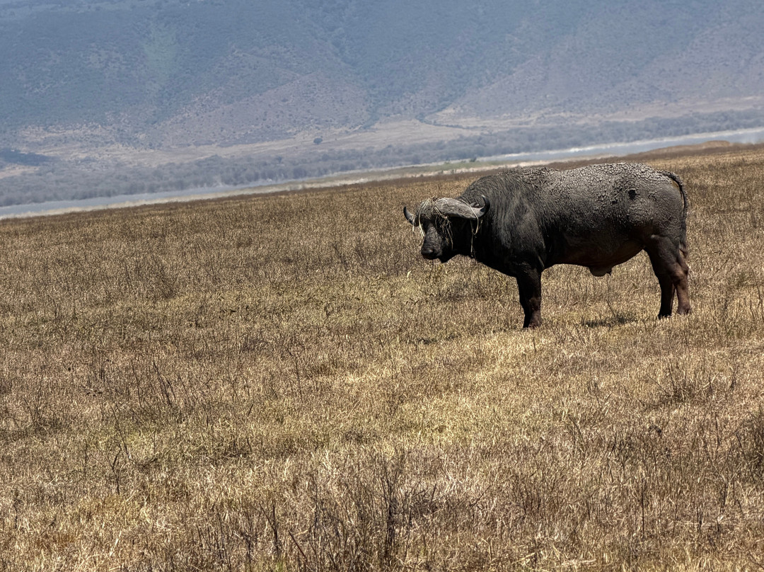 Tanzania-Experience-阿鲁沙必去景点
