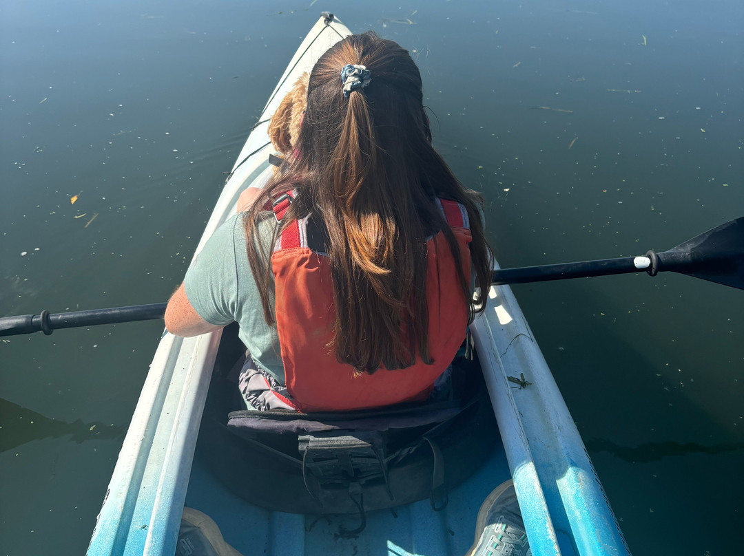 Cotswold Canoe Hire-莱奇莱德必去景点