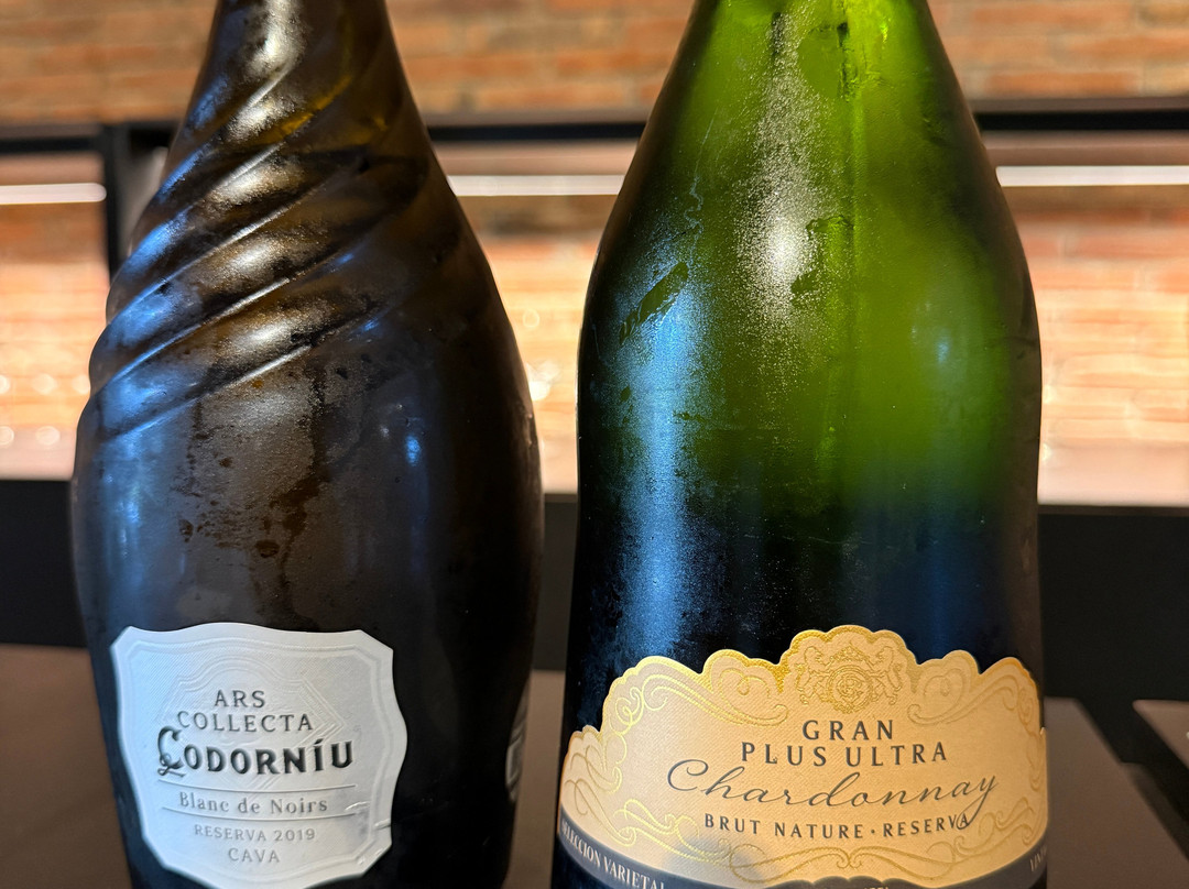Caves Anna d’ Codorniu-桑特萨杜尔尼达诺亚必去景点