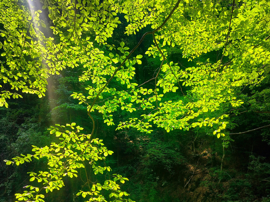 Livaditis Waterfall-Livaditis必去景点