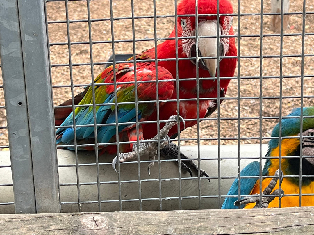 Lincolnshire Wildlife Park-Friskney必去景点