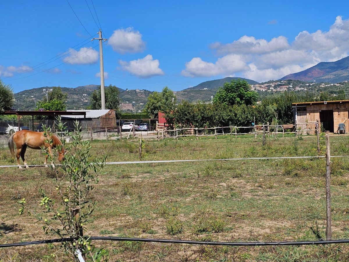 Agriturismo Tenuta Portararo-旅行者