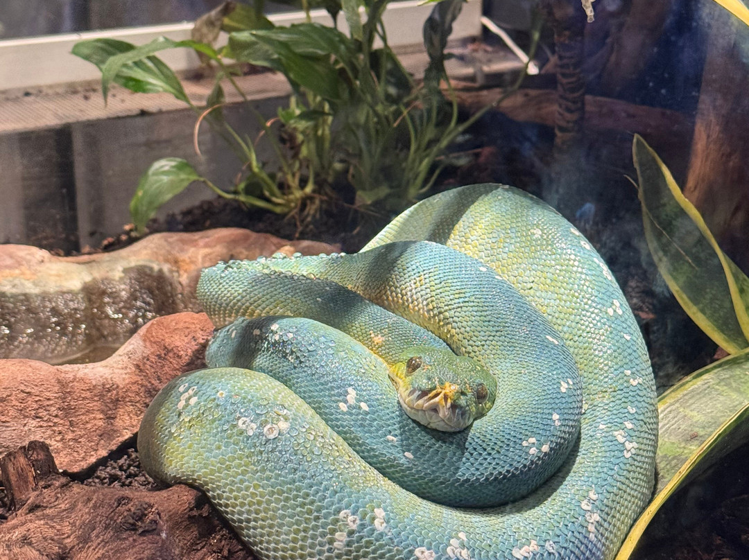 热那亚水族馆-热那亚必去景点