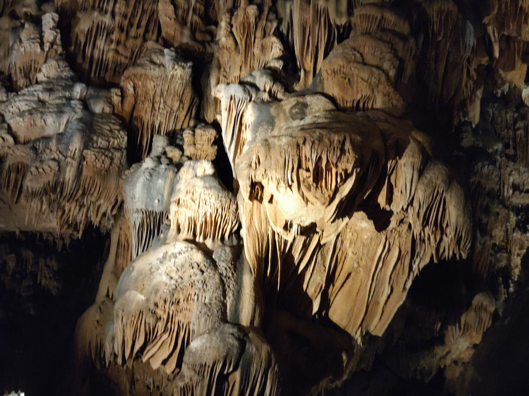 La Grotte Des Demoiselles-Saint-Bauzille-de-Putois必去景点