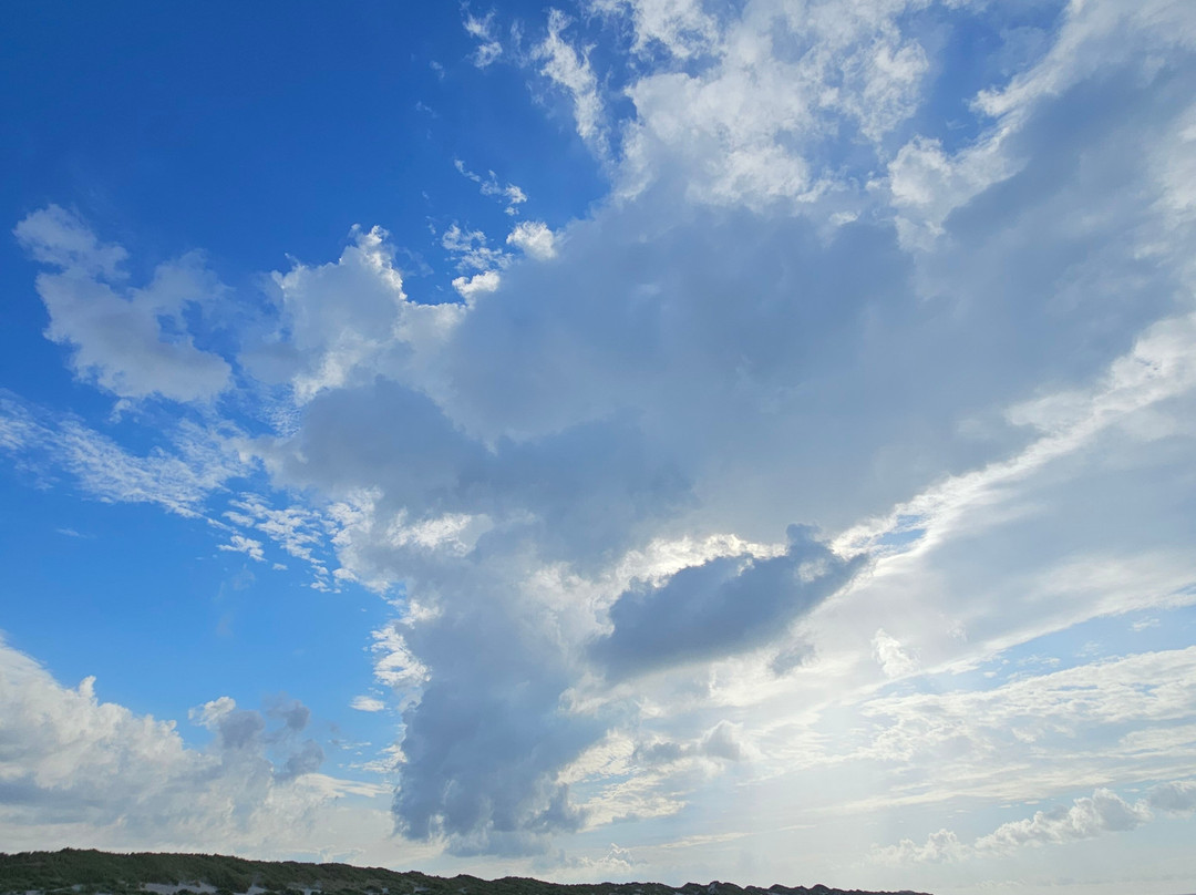 Puur Terschelling-Terschelling必去景点