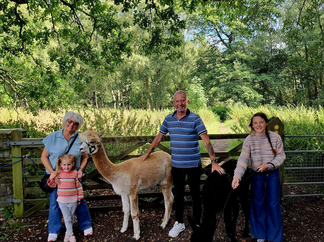 White Peak Alpaca Farm-Mobberley必去景点
