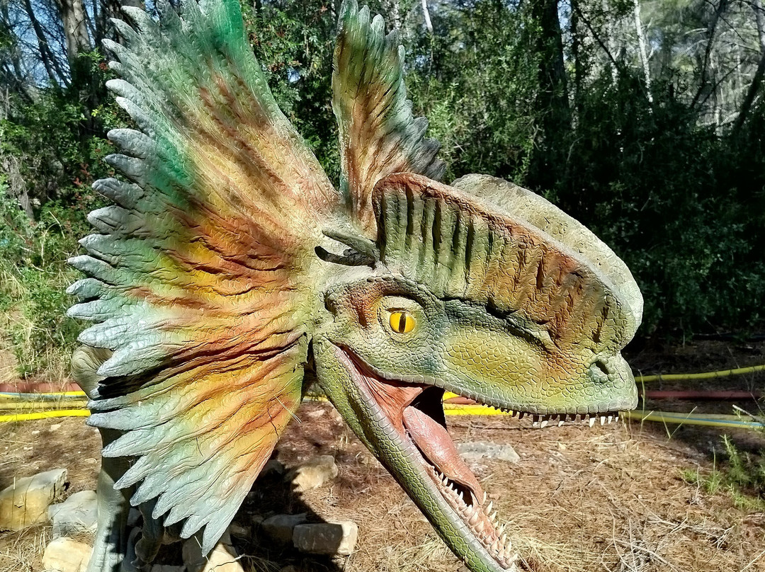 Musee - Parc des Dinosaures-Meze必去景点
