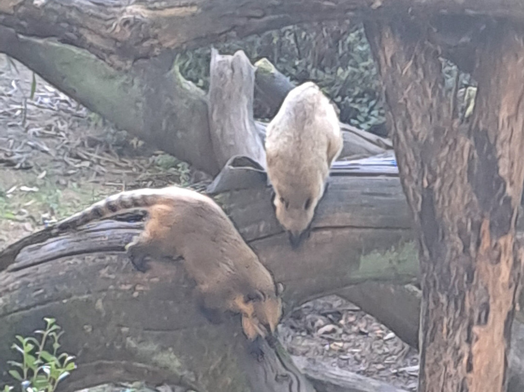 Zoo de La Fleche-La Fleche必去景点
