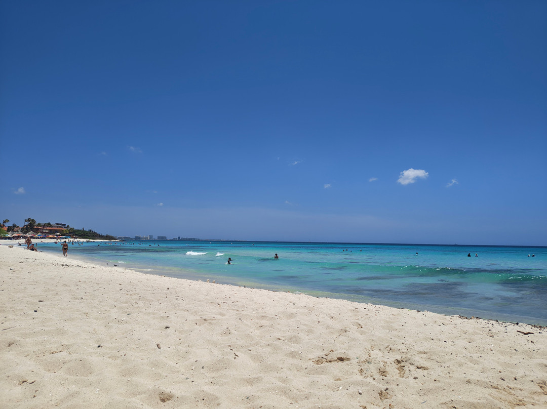 Arashi Beach-Arashi必去景点