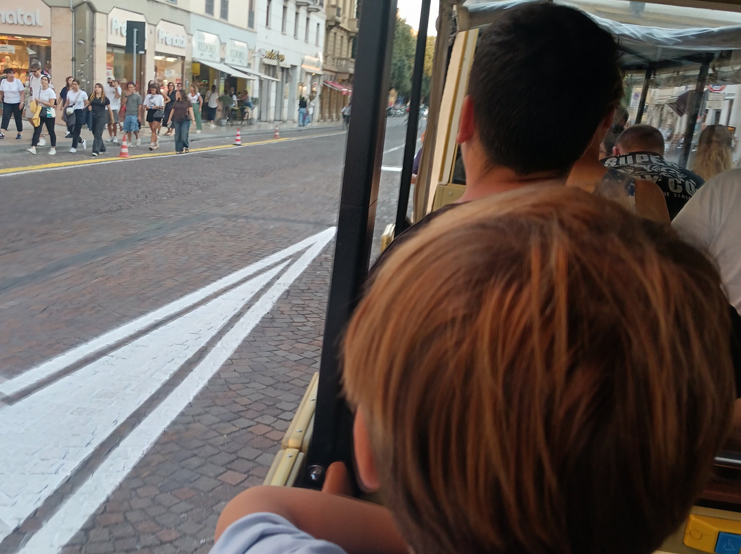 Tour of Verona by train-维罗纳必去景点