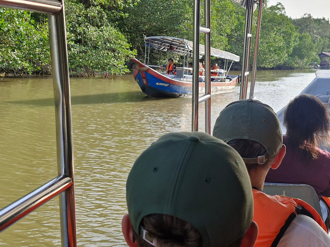 Matang Mangrove Forest Reserve-Kuala Sepetang必去景点