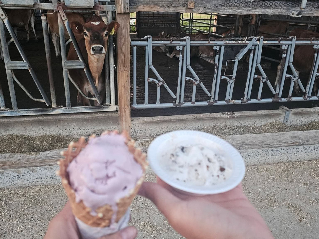 Lapp Valley Farm-New Holland必去景点