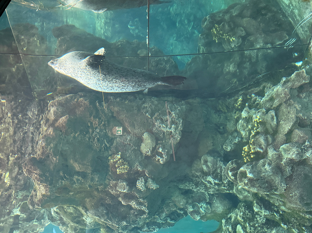 热那亚水族馆-热那亚必去景点