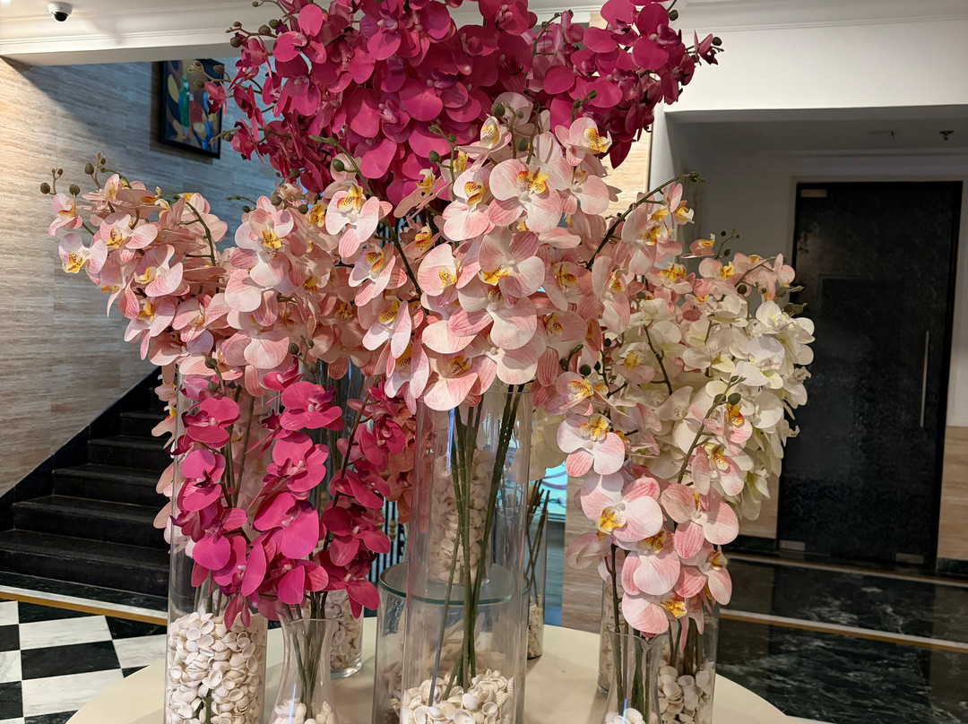 Mayfair Palm Beach Resort主图