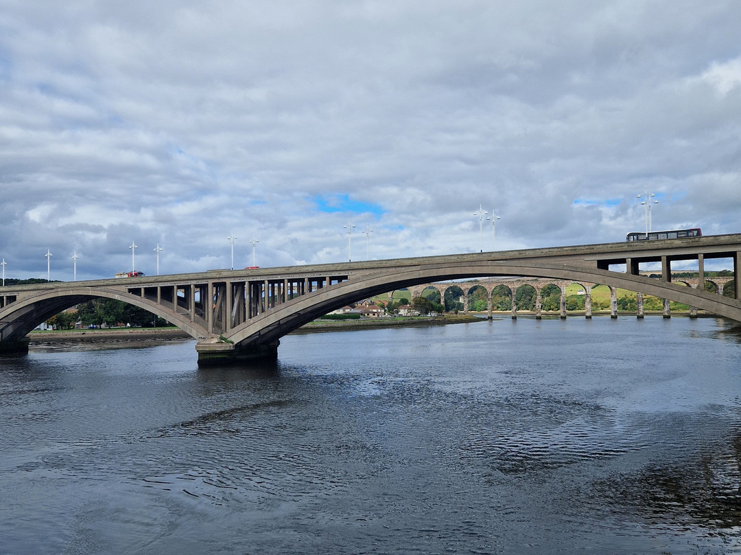 Berwick Boat Trips-特威德河畔贝里克必去景点