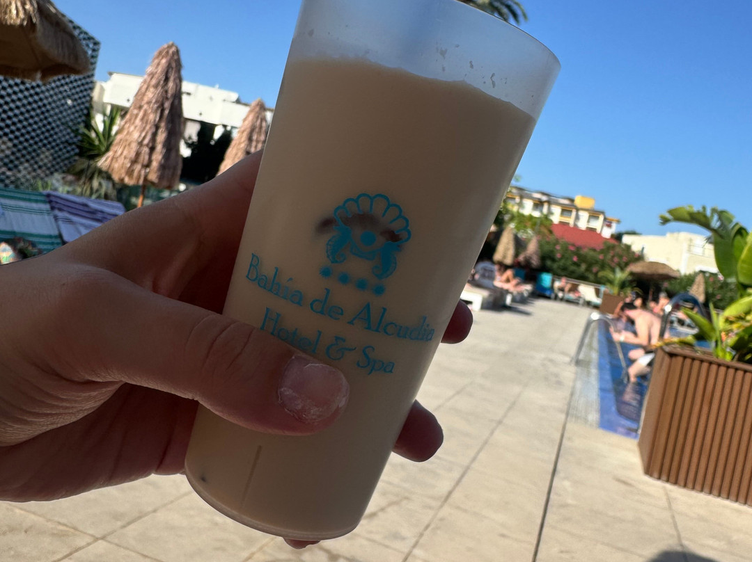 阿尔库迪亚湾 Spa 酒店主图
