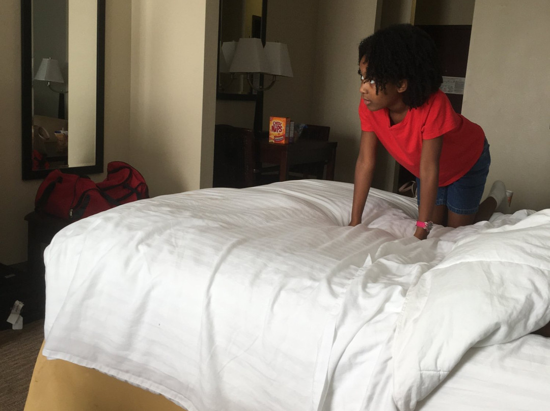 Holiday Inn Express 尤尼斯主图