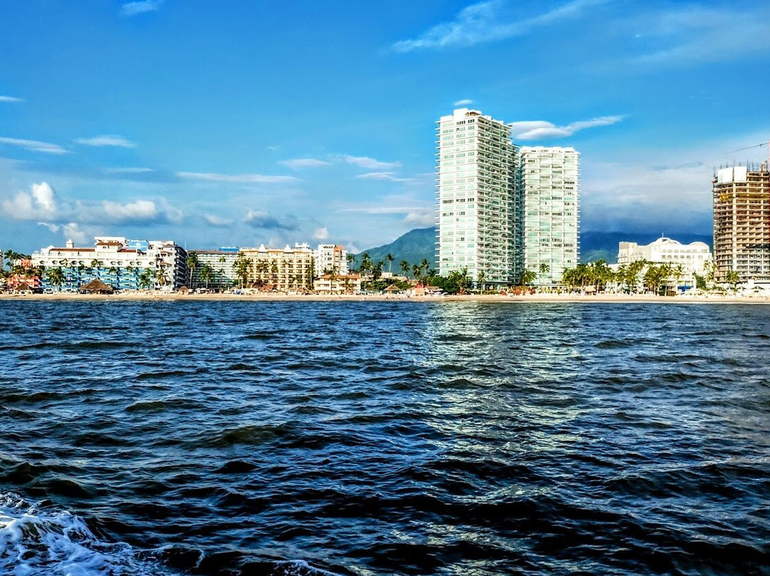 Rhythms of the Night by Vallarta Adventures-瓦拉塔港必去景点