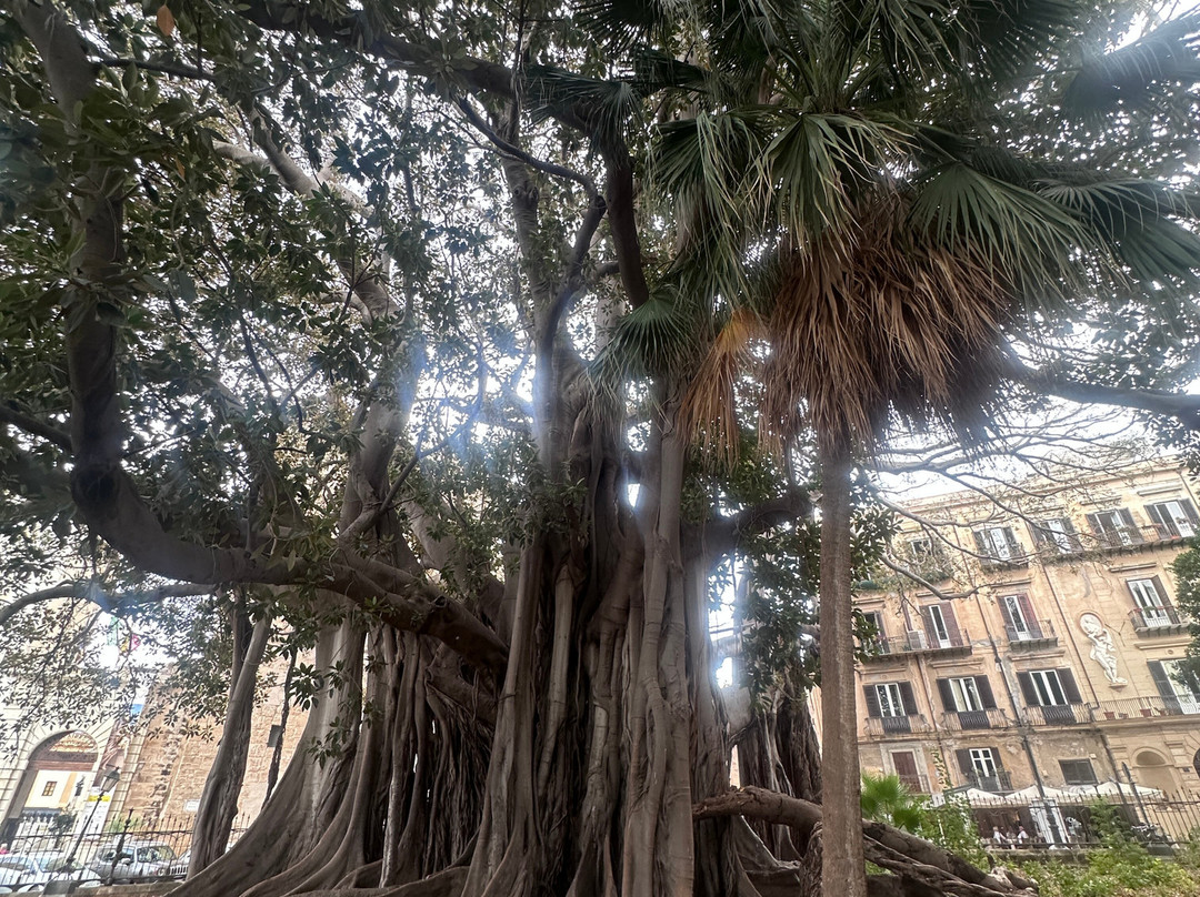 Giardino Garibaldi-巴勒莫必去景点