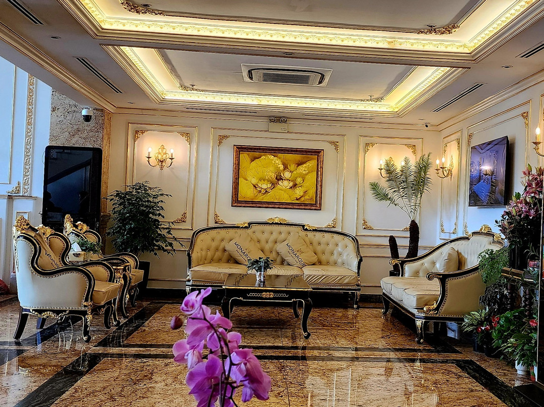 岘港莫纳科酒店主图