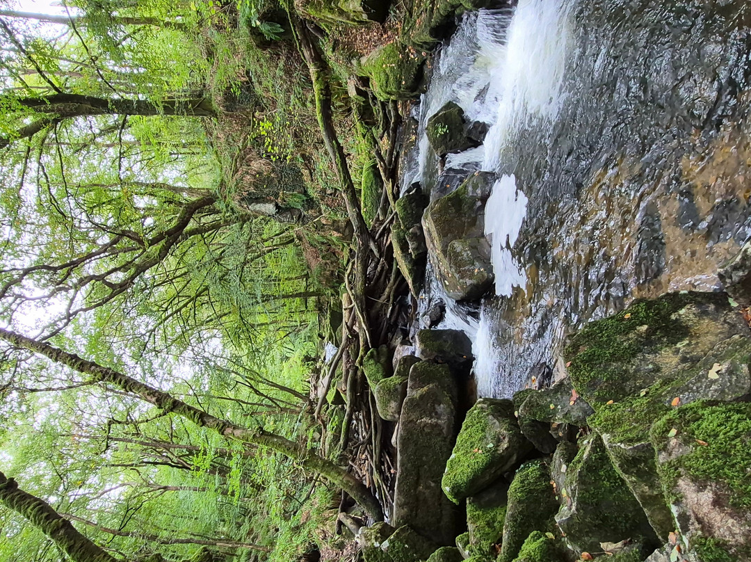 Golitha Falls-利斯卡德必去景点