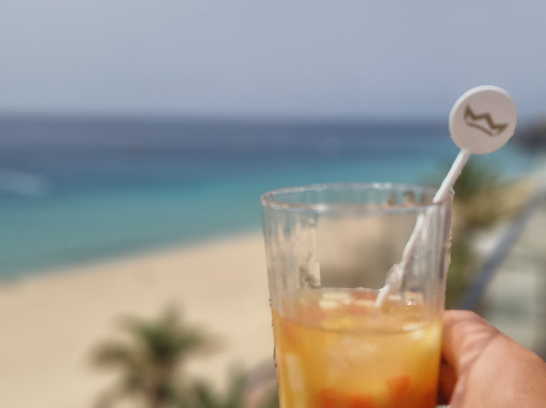 汉迪亚宫酒店主图
