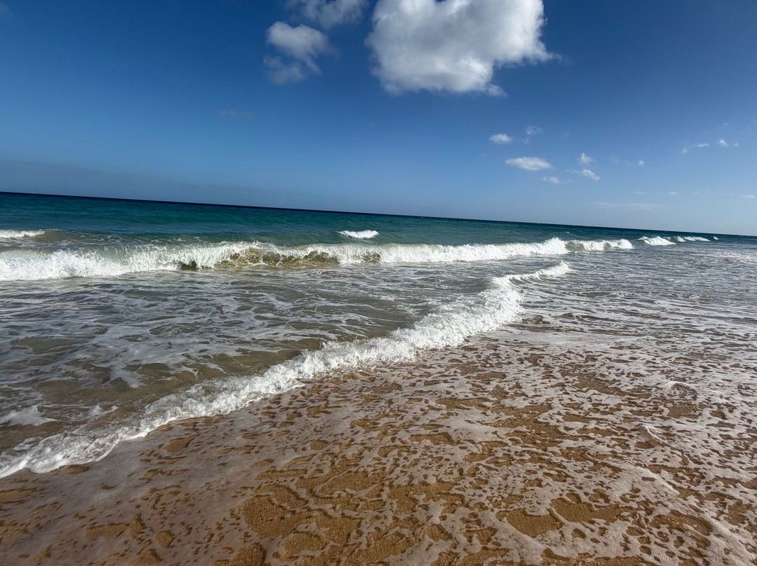 Playa de Sotavento de Jandía-Playa de Jandia必去景点