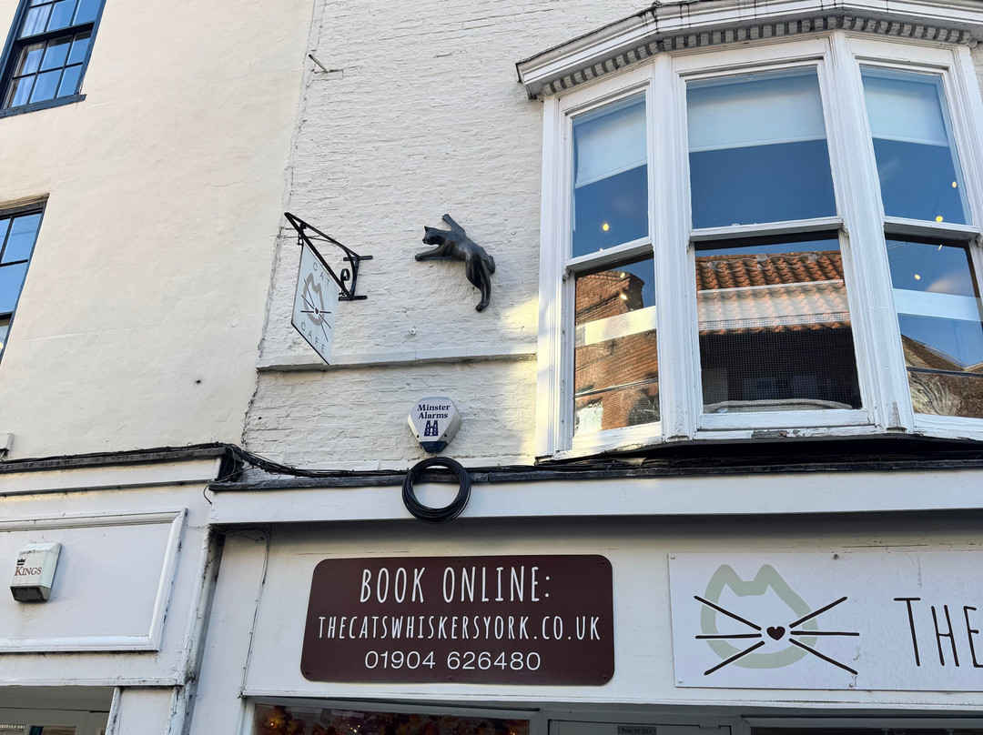 York Cat Trail-约克必去景点