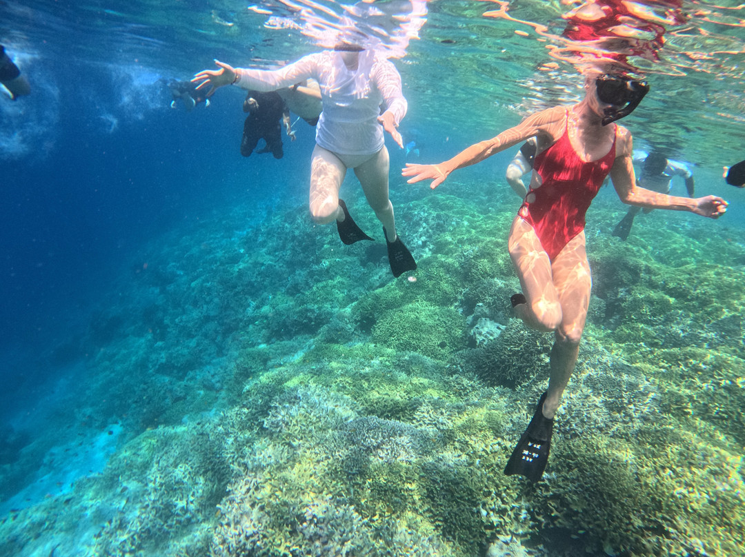 Menjangan Trip Snorkeling & Diving-Pejarakan必去景点